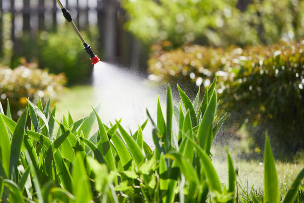 24/7 Emergency Mosquito Control experts in Oakdale, MN