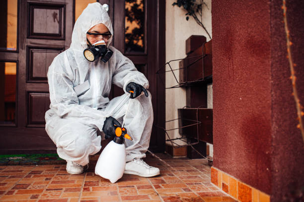 Reliable Mosquito Control contractor in Oakdale, MN by Show Me Pest Control