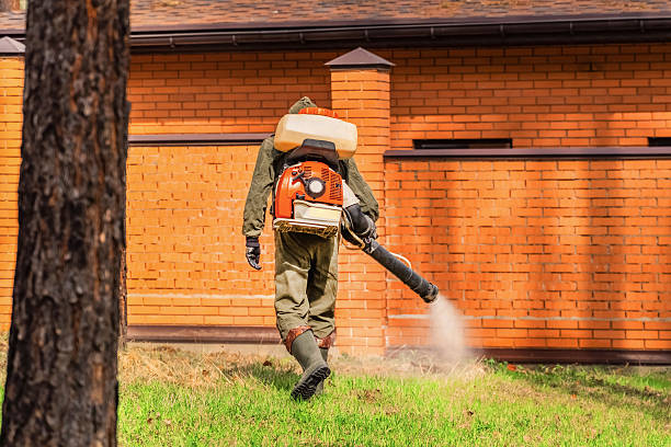 Top rated local Mosquito Control specialists in Oakdale, MN